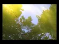 e.s.t. live - Viaticum
