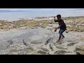 Download Lagu DIPULAU TERPENCIL Nombak Ikan \u0026 Cari Kerang, Makan diPantai with LLDIKTI Wil IV \u0026 Rektor Unidayan 