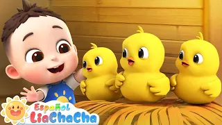 Los Pollitos Dicen Pío Pío | Canción de la Granja | LiaChaCha en Español - Canciones Infantiles
