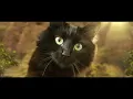 Godzilla vs. Cat (OwlKitty Parody)