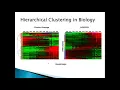 Fast Interactive Genomics Data Visualization in AltAnalyze