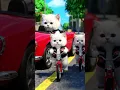 Download Lagu 🚴🌷❤️️😍🐈 #cute