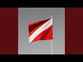 Diver Down Flag