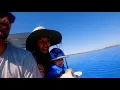 Download Lagu Family Port Smith Trip || Big Trouts | spearfishing | The Kimberley’s WA