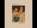 Desert Song - Arcy Drive