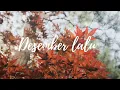 Download Lagu Desember lalu - Near \u0026 Chelz (Lyric Video)