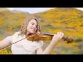 Download Lagu I See the Light (from Disney's Tangled) Violin Cover - Taylor Davis