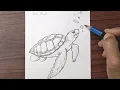 How to draw a Sea Turtle step by step Pencil Drawing