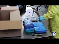 Deputies in Palm Beach County arrest 100 in fentanyl crackdown