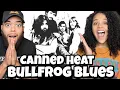 Download Lagu LOVE IT!..FIRST TIME HEARING Canned Heat  - Bullfrog Blues REACTION