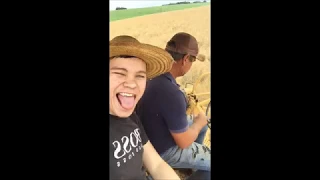 Colheita Canola - Linha timbó/Guarani das Missões