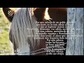 Carlos Gardel - Por una cabeza (Letra-Lyrics)
