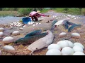 Download Lagu Top Amazing Video! a lot of catch fish by man on the road after raining, Flood Season