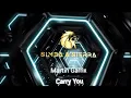 Martin Garrix, Third Party, Oaks, Declan J Donovan - Carry You (Simba & Sierra Bootleg)