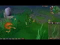 Snails - Cooking Every Item in Old School Runescape