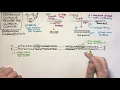 Designing cloning primers for classical restriction cloning