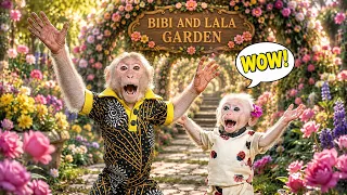 Can Monkey Bibi Lala Design the Most Beautiful Flower Garden Ever