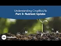 Understanding CropBioLife Part 3 Nutrient Uptake