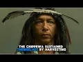 The history of the Chippewa Tribe