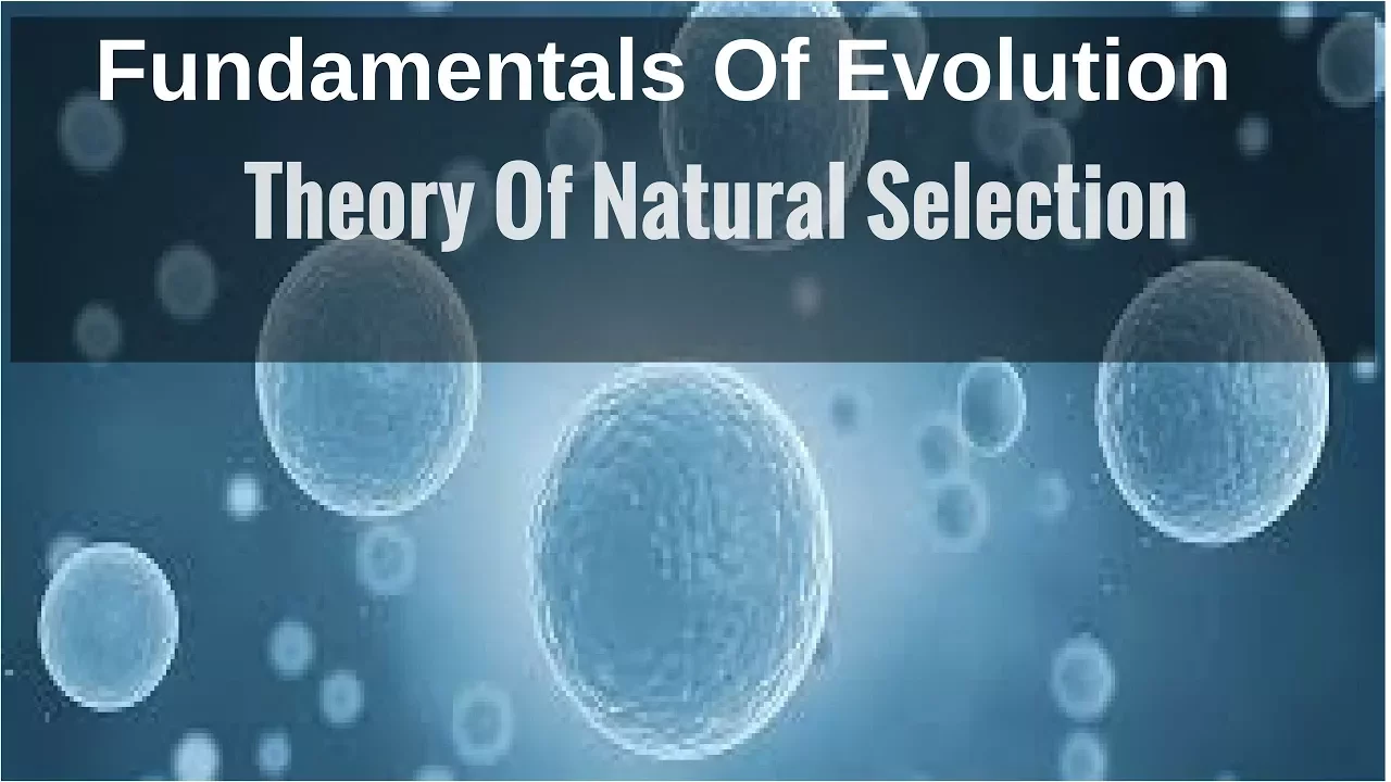 Theory Of Natural Selection