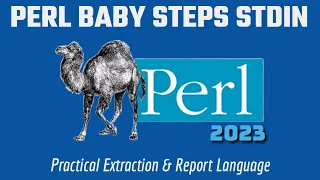 Perl Baby Steps - STDIN If Else Conditionals 2023
