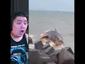 Download Lagu https://www.facebook.com/Edi4Ria/videos/1224482895552922/?app=fbl
