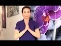 Thai oil massage pressure points relaxation tension relief