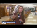Long Island high school brings animals to class to teach life lessons