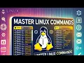 Master Linux Basics Vi Editor File Management Utilities Complete Step-by-Step Guide