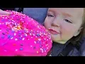 Download Lagu HUGE DONUT vs NiKO BEAR!! Ultimate Family Vacation routine with Dinosaurs, Play Park, and Swimming!