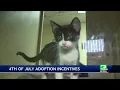 Sacramento animal shelter offers incentive for pet adoptions