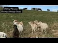 Making Memories Farming in Chenango County NY