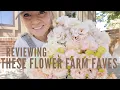 Which lisianthus are worth growing A review of my faves and some I won t grow again