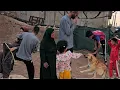 Download Lagu Incredible Events in One Day:The Return of the Lost Dog by Grandma's Action(True Story)