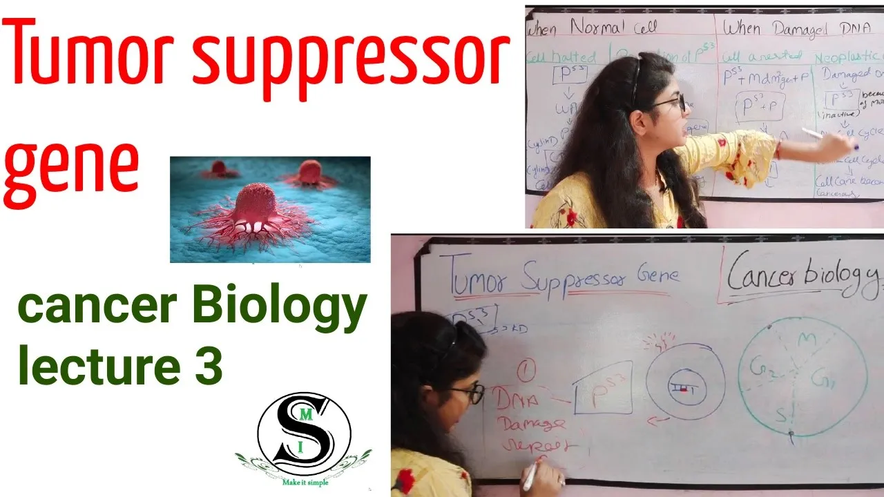 Tumor suppressor gene \ Anti Oncogene \ p53 gene \ Cancer Cell Biochemistry lecture 3