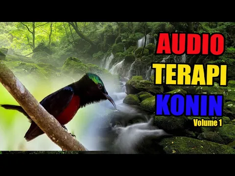 Download MP3 Audio Terapi Konin Vol.1