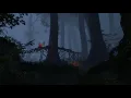 The Witcher 2 - Forest Outside Flotsam at Night | Nocturnal Forest (Extended)