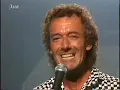 The Hollies - Stop In The Name Of Love