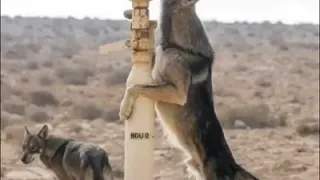 ماجتني الدنيا على الكيف ياذيب 