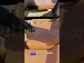 Download Lagu Watch Miniature Workers Build a House Step by Step!