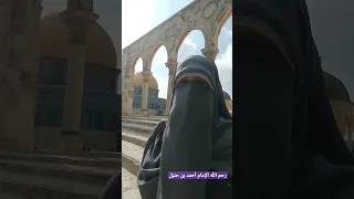 علم وأدب وأخلاق أحمد بن حنبل سوسن نجيب 