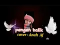 Download Lagu PENGEN BALIK