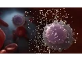 Download Lagu Medical Animation: HIV and AIDS