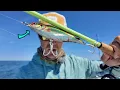 Download Lagu 1 v 1 Fish Off In The Rips For a Lobster Dinner - Montauk Fishaholic Fishing