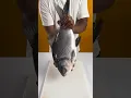 Download Lagu Fish Kebab #shorts