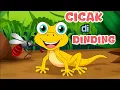 Cicak Cicak di Dinding - Lagu Anak Populer | Lagu Edukasi Anak PAUD TK