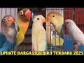 Download Lagu Update Daftar Harga Burung Lovebird Terbaru Tahun 2025!!!