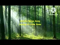 Download Lagu Aprilian ft fany zee - Rinduku Rindumu Satu Cinta ( lirik )