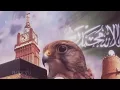 شيلة افرحي يا دارنا