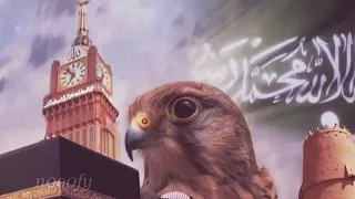 شيلة افرحي يا دارنا دندنها
